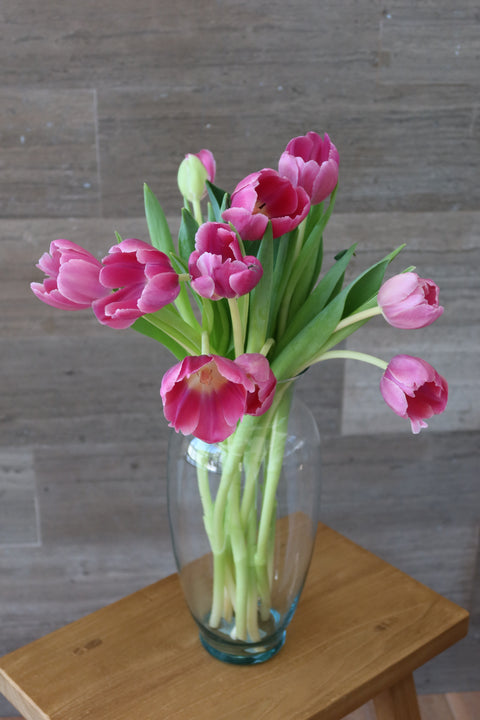 Tulipanes