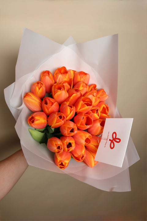 Arreglo Tulipanes