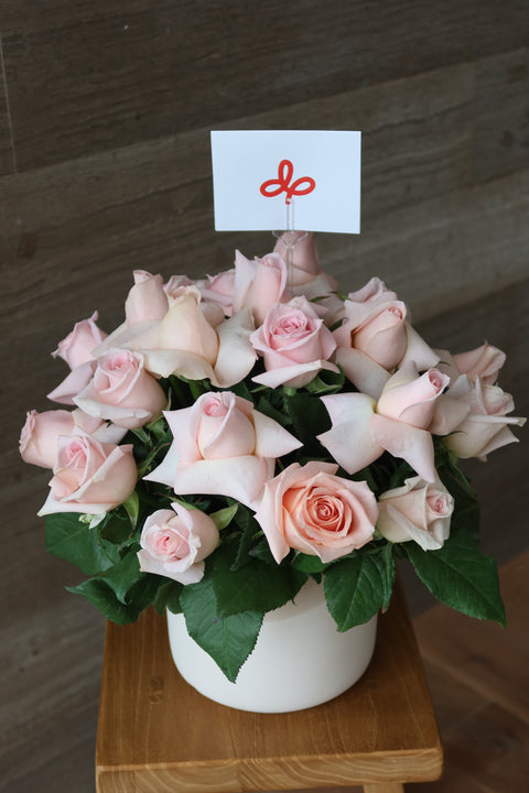 Base con 24 rosas