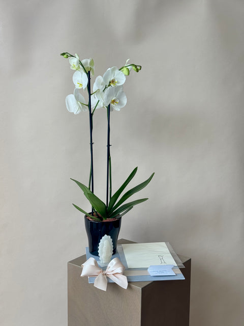 Orquídea con Misa y Virgencita Onix
