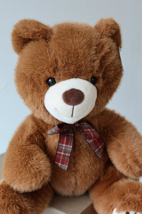 Osito de Peluche