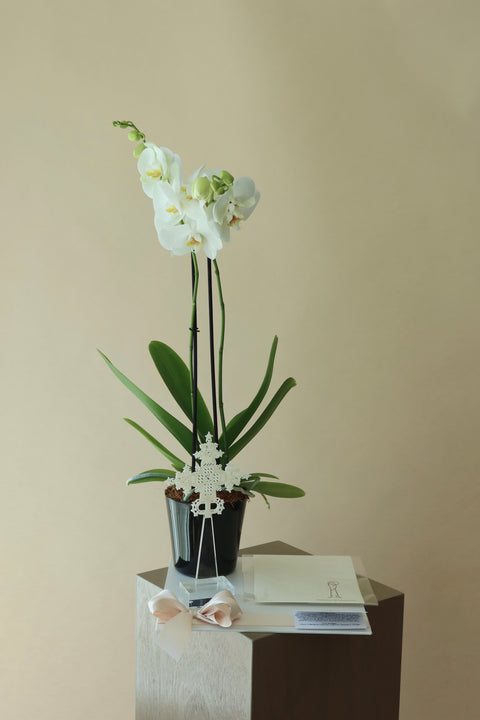 Orquídea con Misa y Cruz Onix