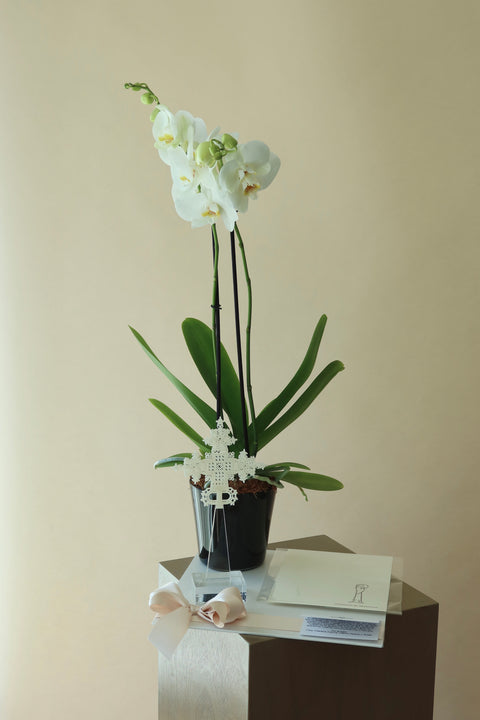 Orquídea con Misa y Cruz Onix