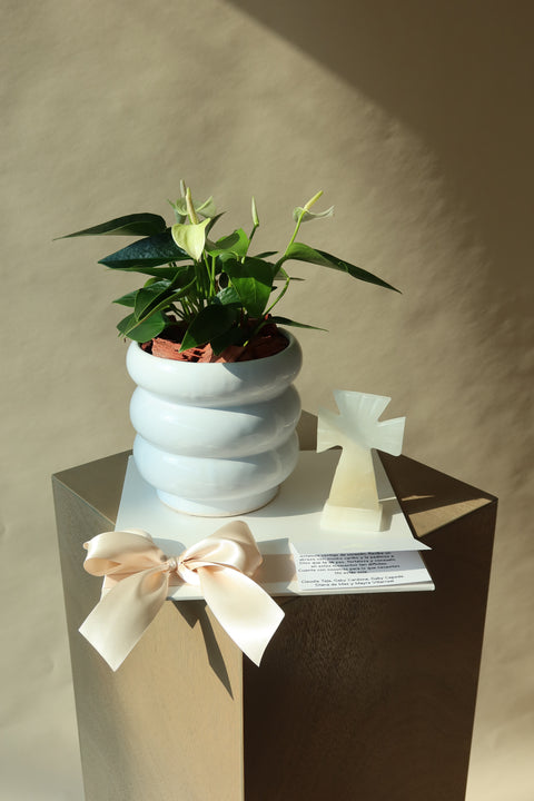 Anturio con Cruz Onix