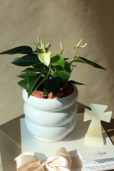 Anturio con Cruz Onix