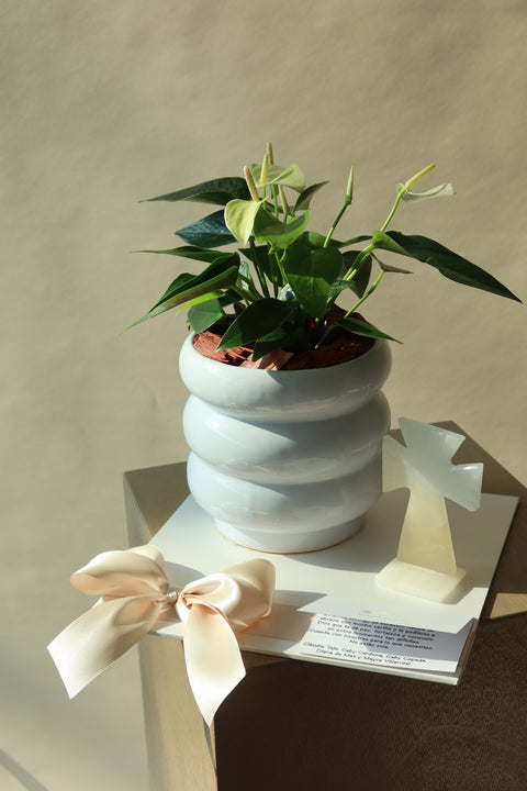 Anturio con Cruz Onix