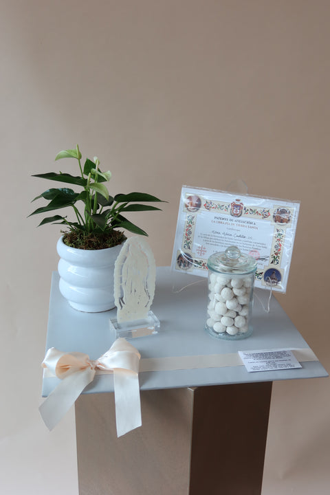 Anturio con Misa, Virgencita y Bombonera