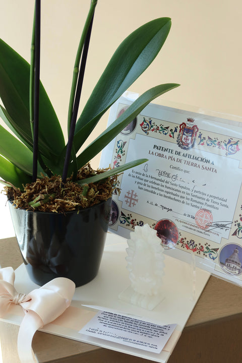Orquídea con Misa y Virgencita Onix