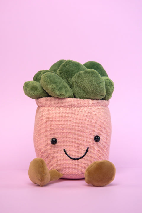 Suculenta Peluche Rosa